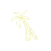 Tailslide_doodle icon palm tree find connection_connection through surfing retreat Sri Lanka_surf build connections_Retreat