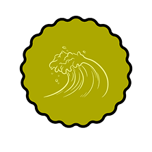 Tailslide technical surf coaching lessons Sri Lanka_doodle icon wave_beginner and intermediate proffessional surf lessons in Madiha matara district_Coaching
