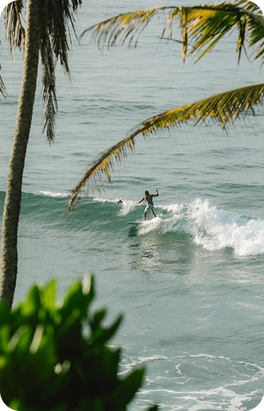 Tailslide technical surf coaching lessons sri lanka_surfer riding clean wave at Madiha reef viewed through palm trees_surf coaching Sri Lanka to build surf skills for progression_Coaching