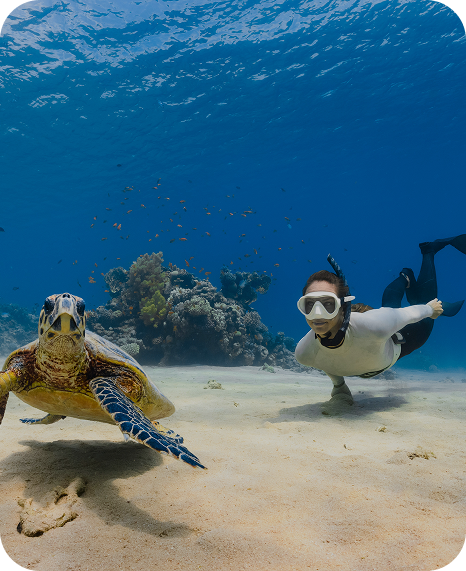 Tailslide non surfing things to do sri lanka_snorkeling and swimming with turtles_surf retreat ocean eco extra activity_Activities