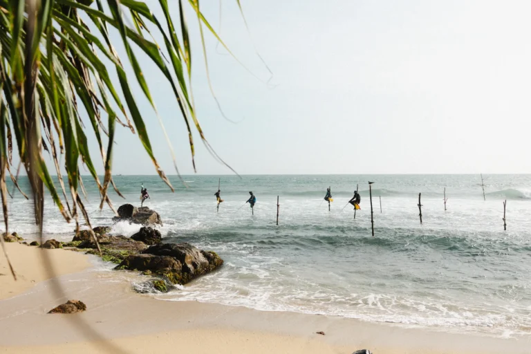 Beach in Sri lanka